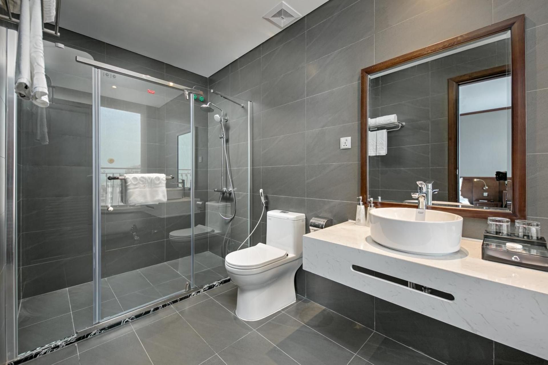 Deluxe Double or Twin Room with City View