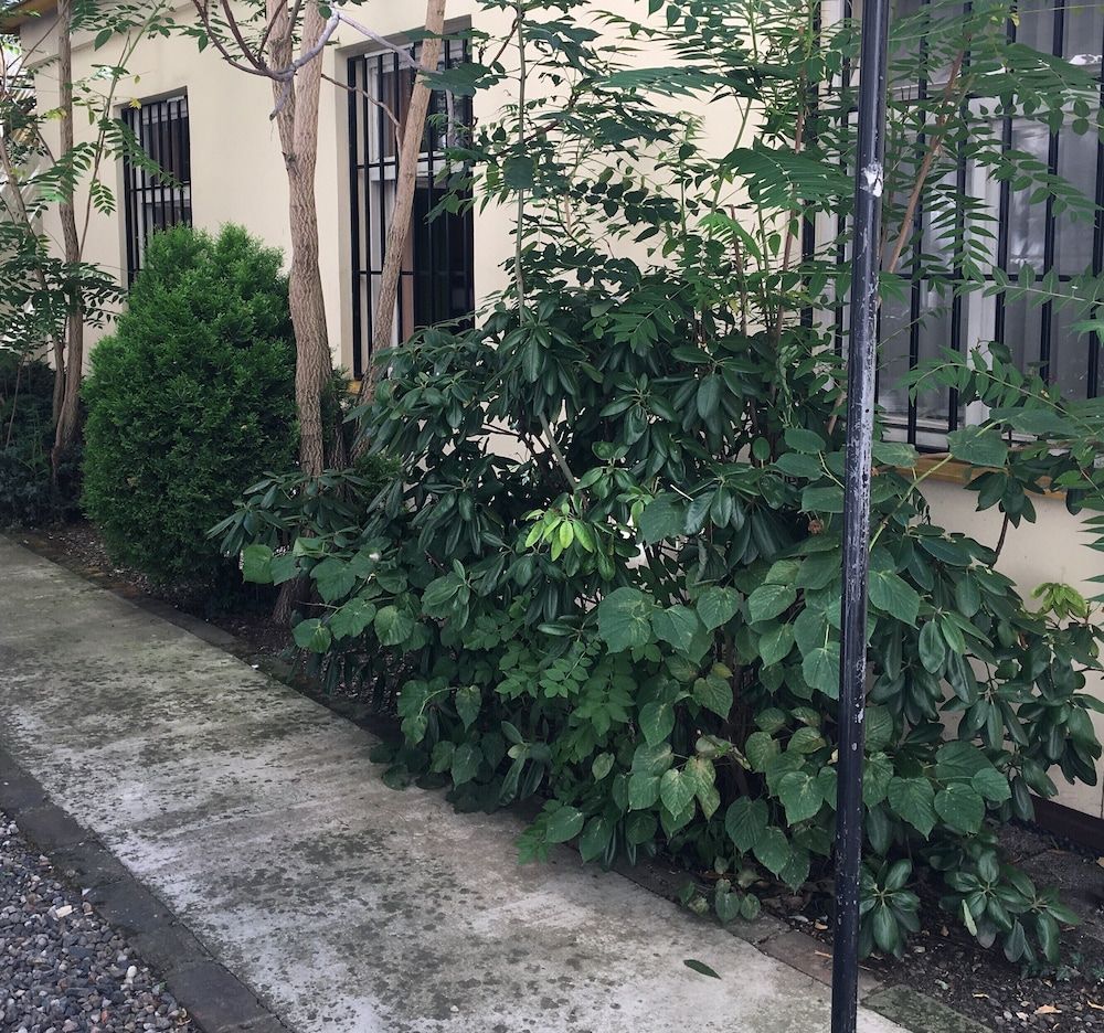 undefined Pension City Center 6