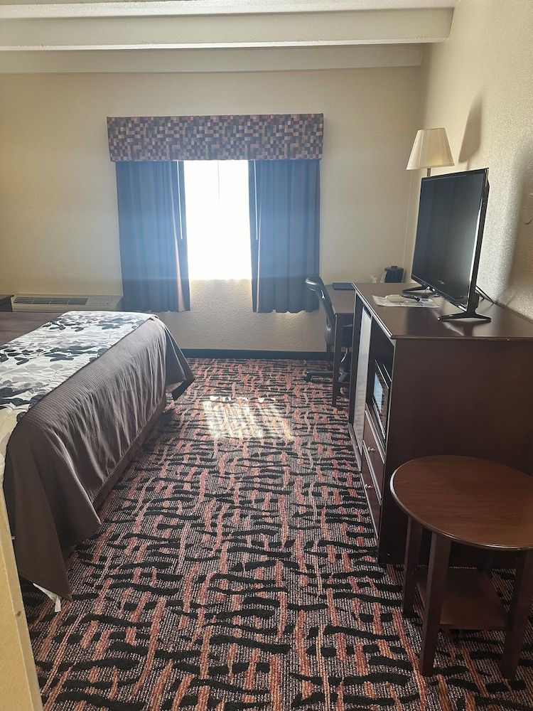 Executive inn Standard Room 1 King Bed 2