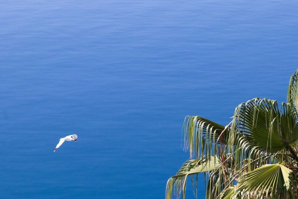 Grand Bleu Apartments & Villas Deluxe Apartment, 2 Bedrooms, Sea View 5