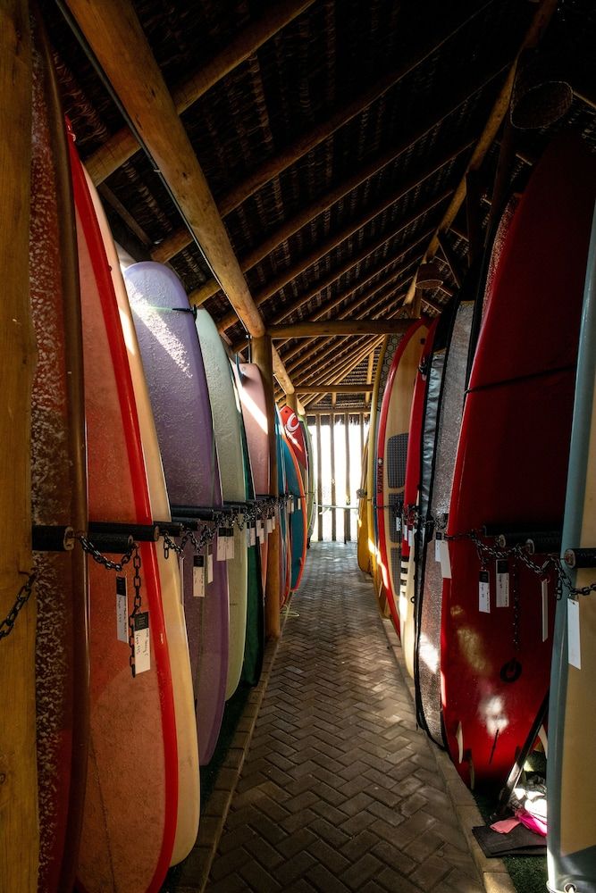 undefined LONGBOARD PARADISE SURF CLUB 8