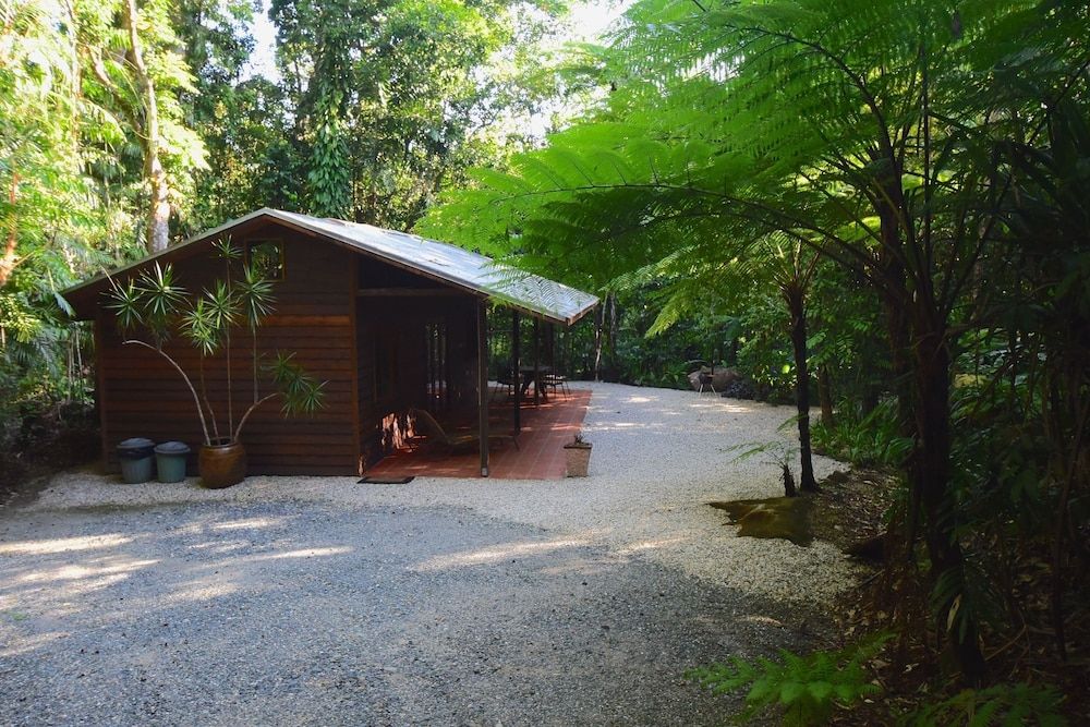 Daintree Cascades
