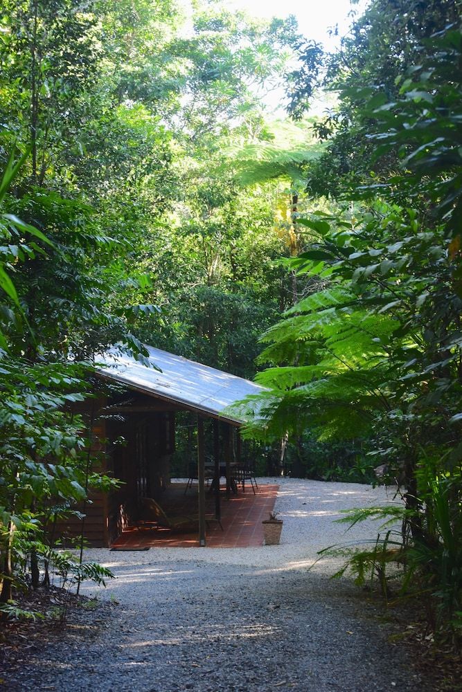 Daintree Cascades