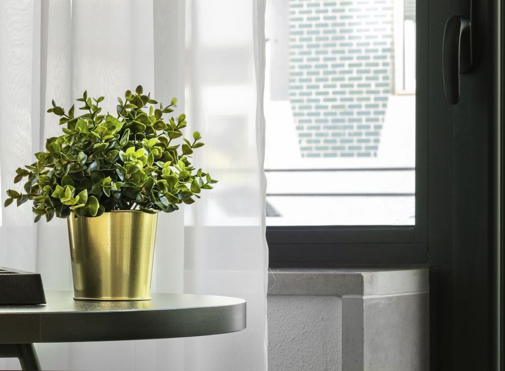 Porta 20 Boutique Guesthouse Comfort Twin Room 5