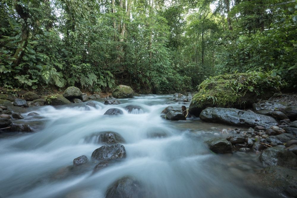 undefined Cabañas del Rio 9