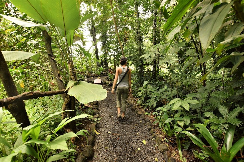 undefined Cabañas del Rio 8