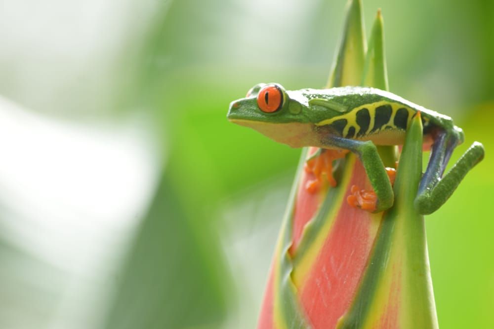 undefined Cabañas del Rio 7