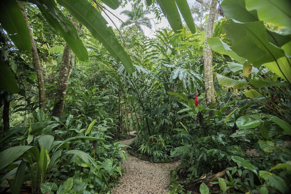 Cabañas del Rio Family Studio Suite, Multiple Beds 9