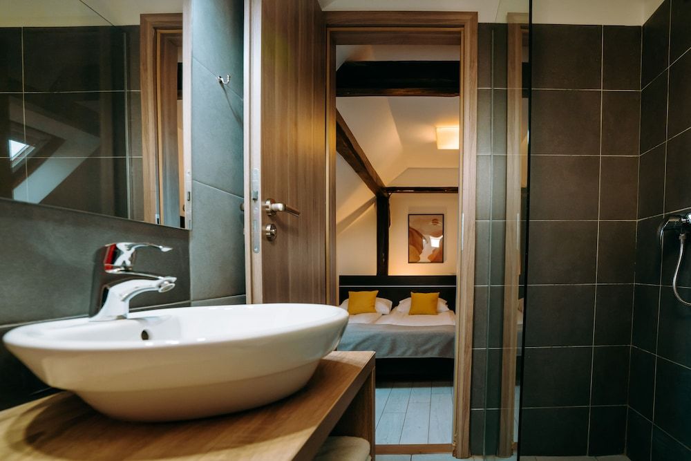 Vila Anca Standard Room, Courtyard View 9