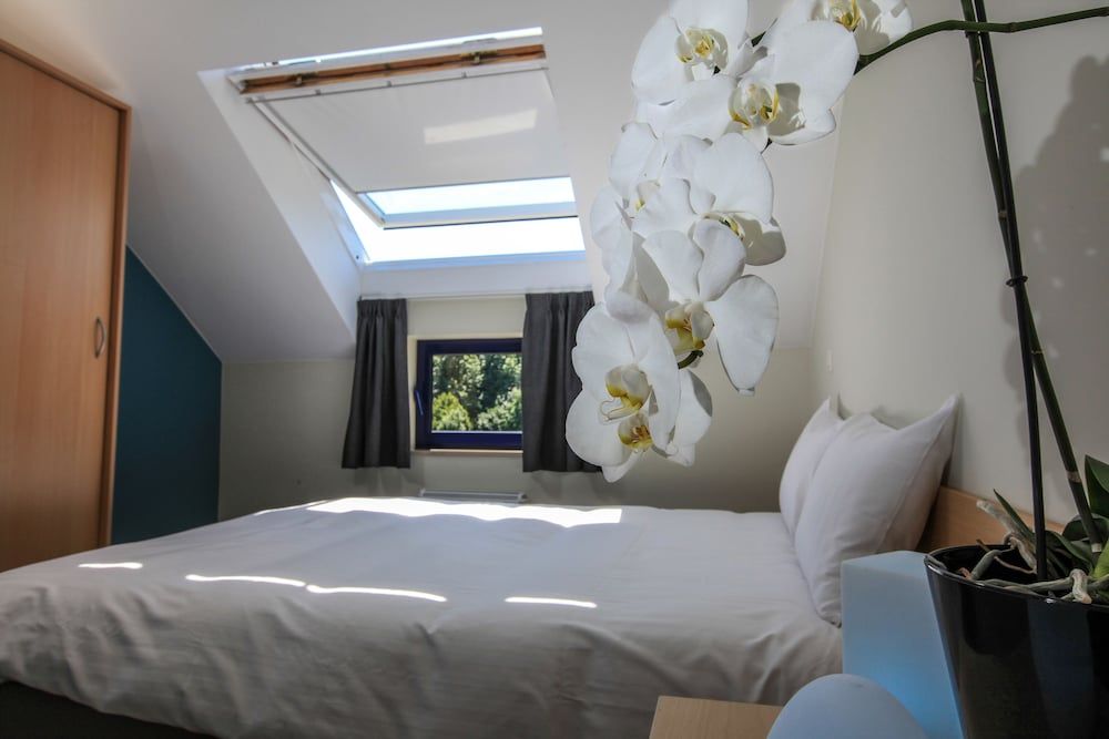 House, 3 Bedrooms