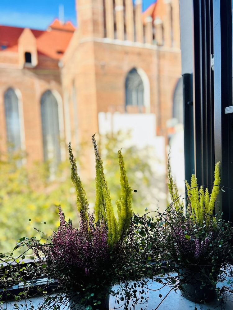 Land View from Property