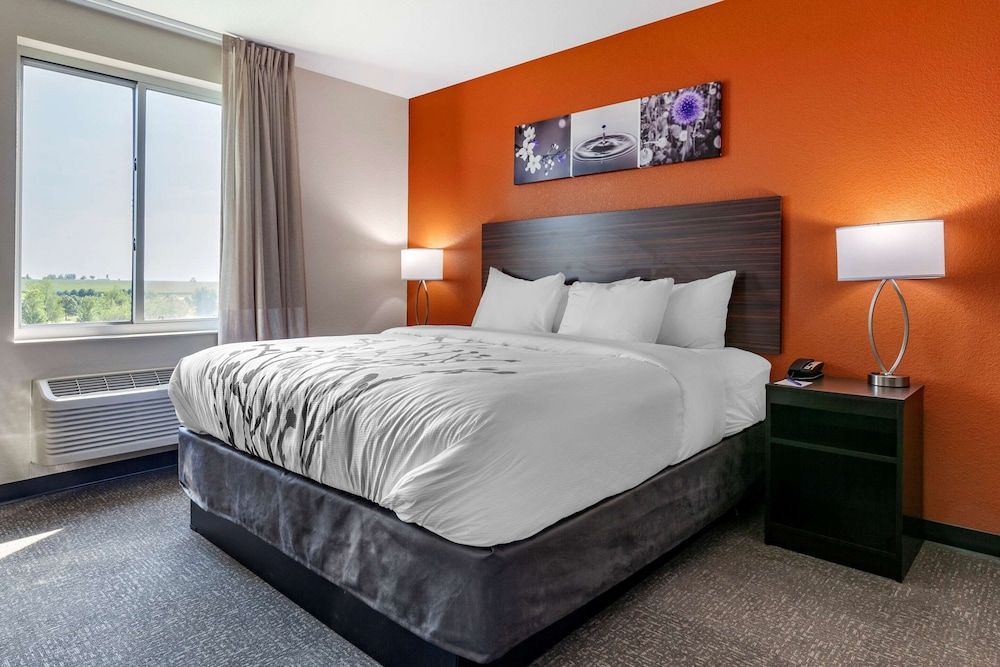 Suite, 1 King Bed with Sofa bed, Non Smoking