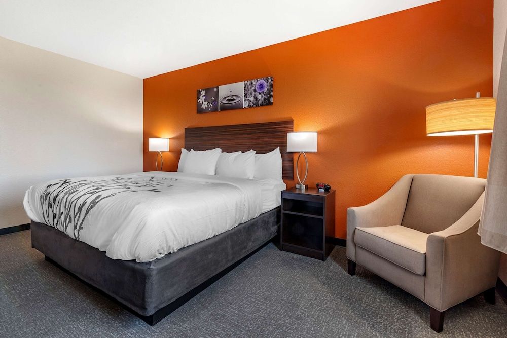 Room, 1 King Bed, Non Smoking (Upgrade)