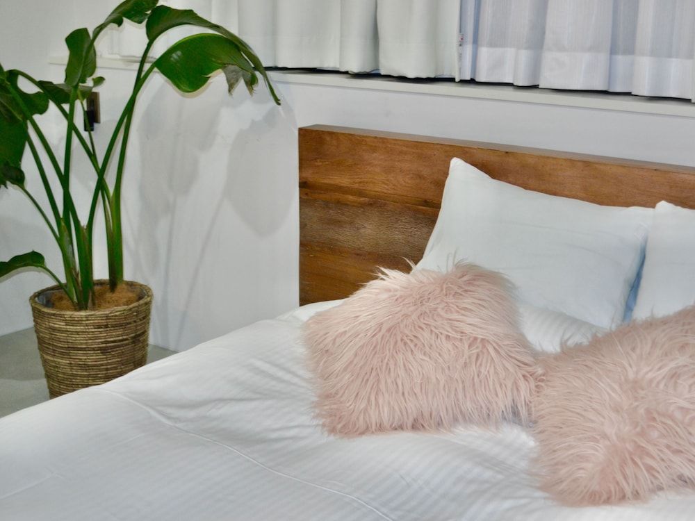 The Root2 Hotel Junior Suite Room 102 3