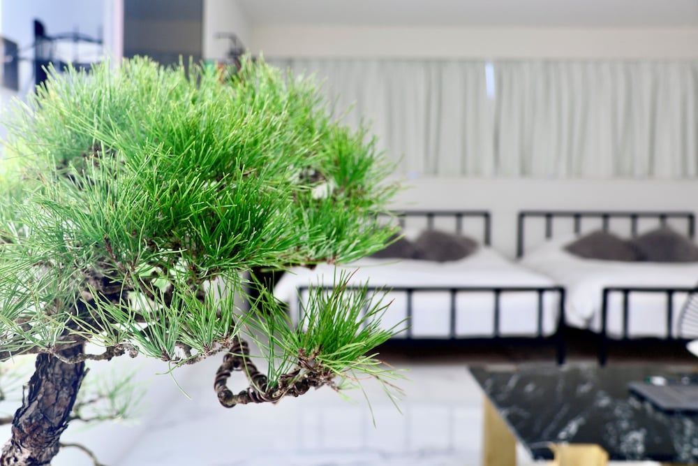 The Root2 Hotel Junior Suite Room 302 4