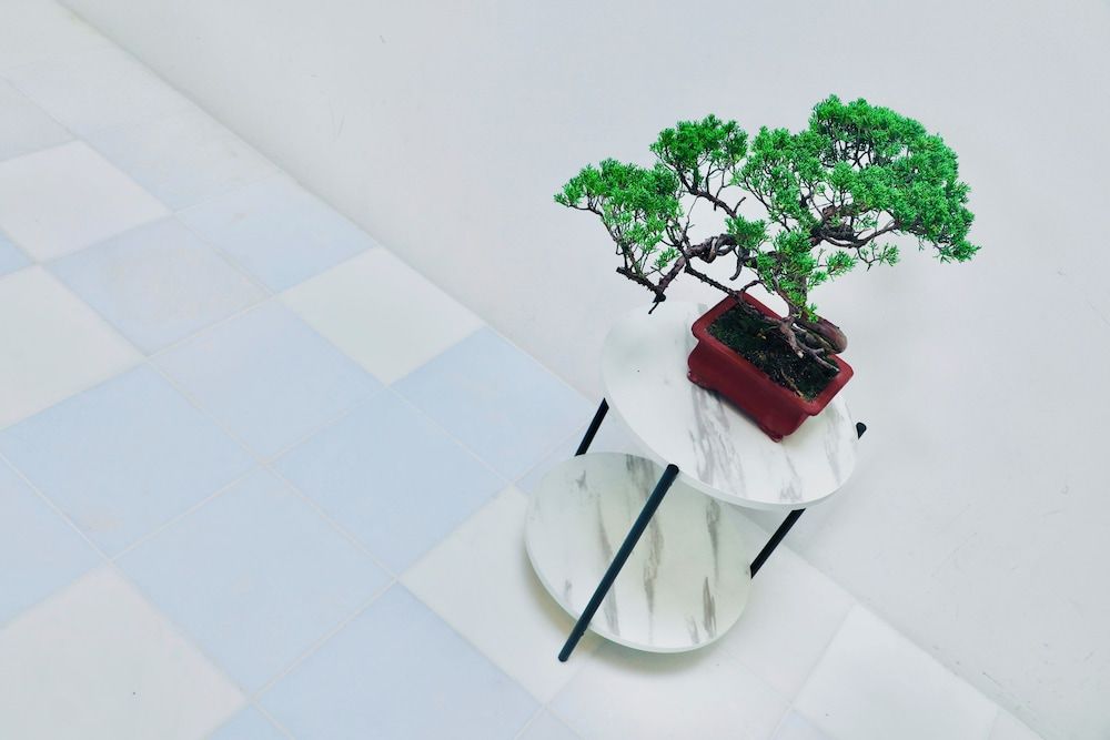 The Root2 Hotel Junior Suite Room 301 8