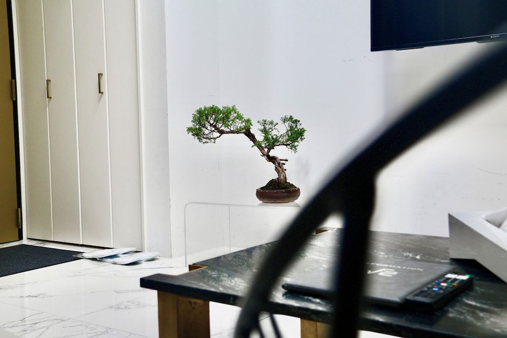 The Root2 Hotel Junior Suite Room 302 24