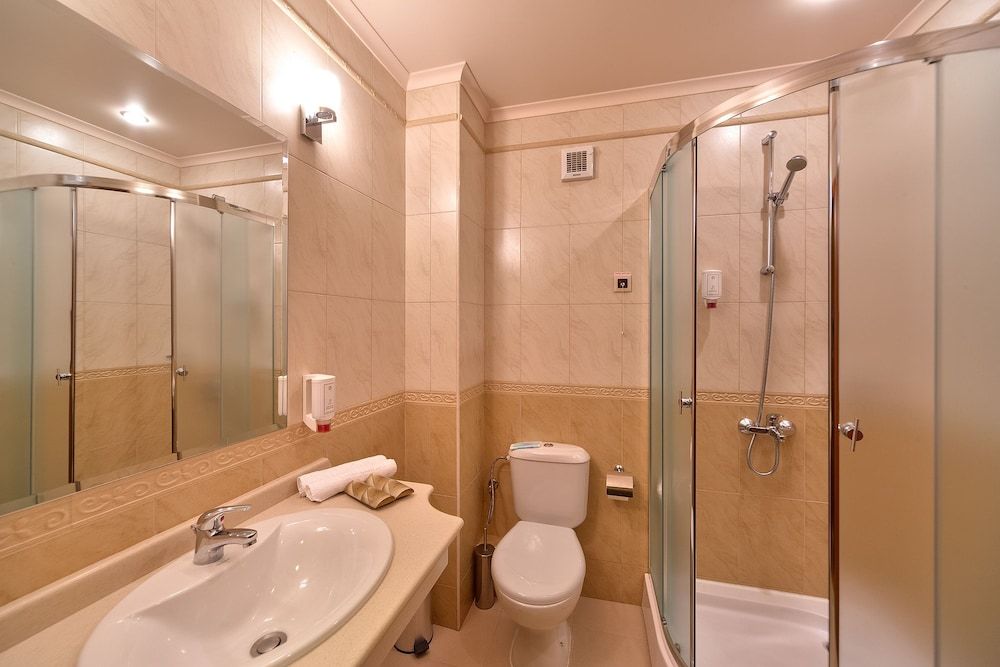 Basic Double Room, 1 King Bed