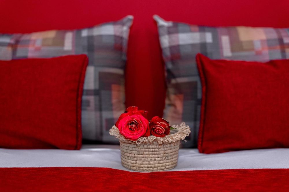 undefined Riad Bilkis 9