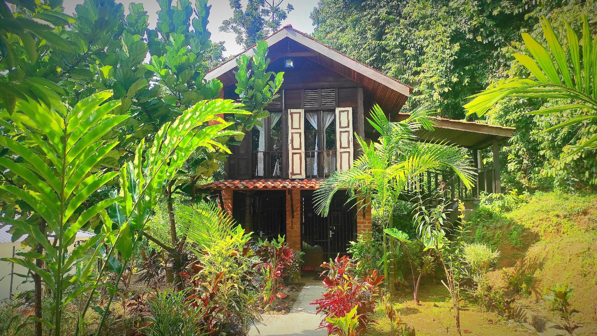 S`ekar Pinang Langkawi