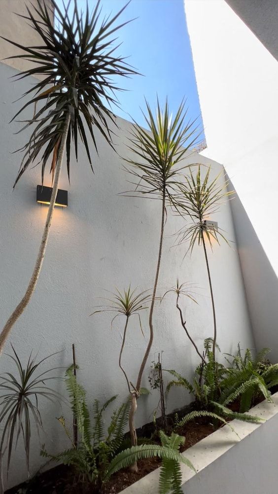 undefined NIU Modern Apartments near WTC & Condesa - Roma Sur 6