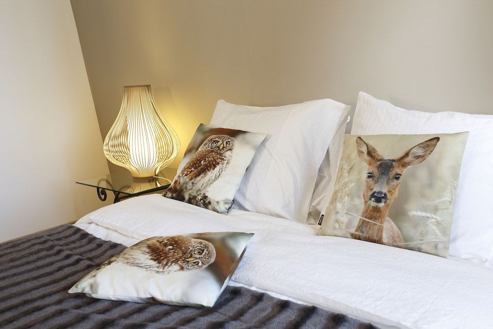 Comfort Apartment, Private Bathroom, City View (CHENONCEAU)