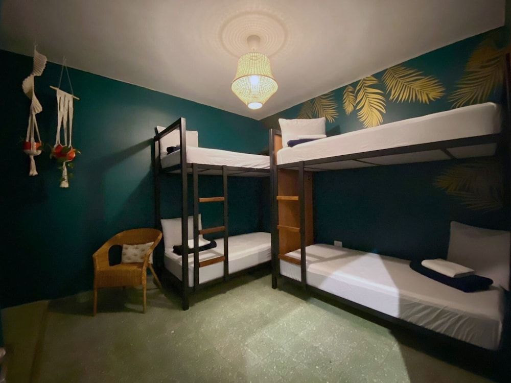 Standard Shared Dormitory, 4 Guests, Female Dorms (Villa Palmeras)