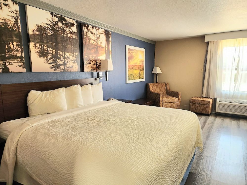 Room, 1 King Bed, Accessible, Non Smoking (Roll-In Shower)