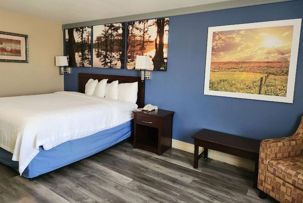 Room, 1 King Bed, Non Smoking