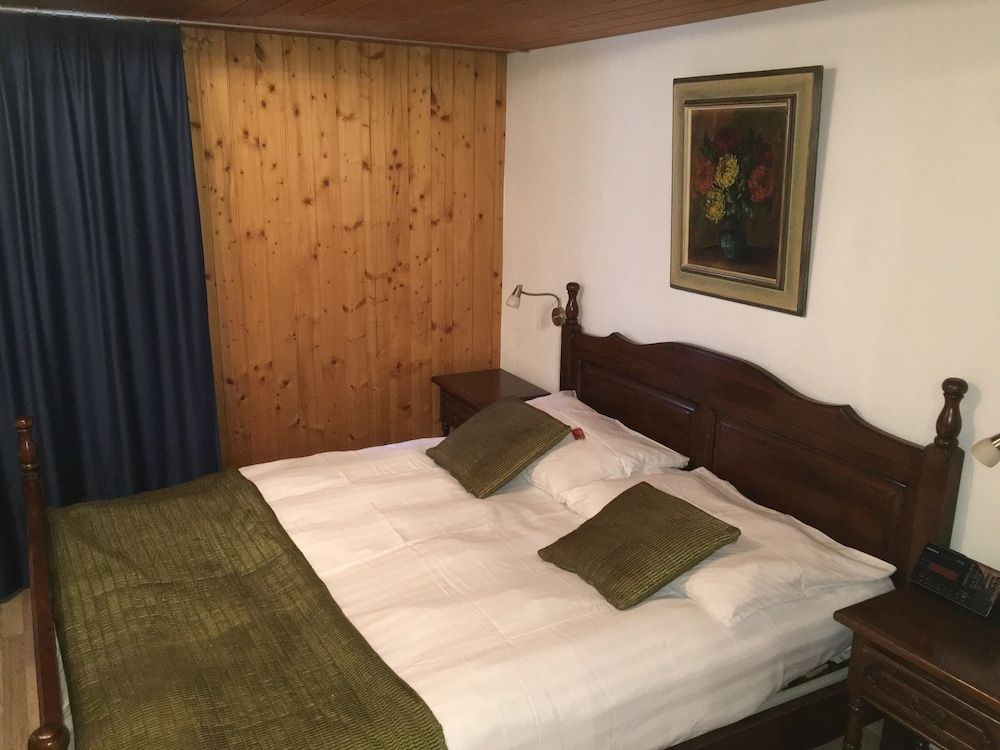 Historic Hotel Steinbock Double Room, 1 Queen Bed, River View 3