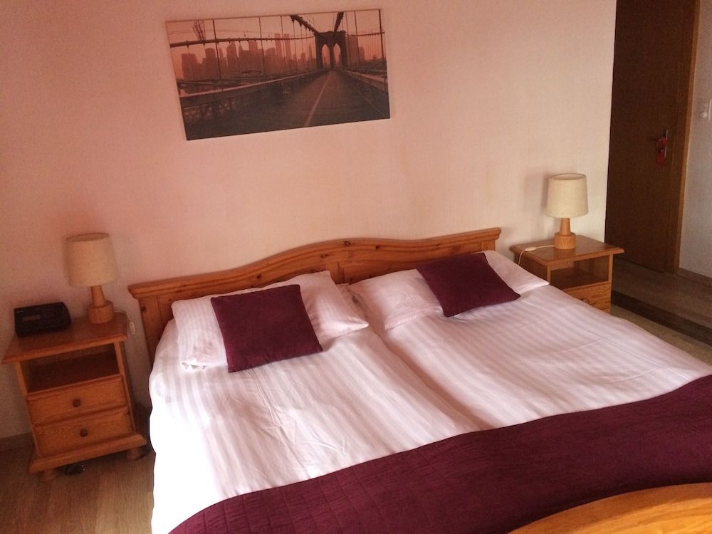 Historic Hotel Steinbock Double Room, 1 Queen Bed, River View