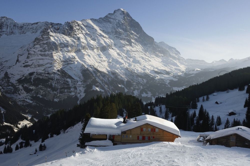 undefined Alpinhotel Bort 10