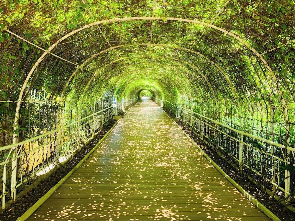 undefined Pinnacle Boracay 7