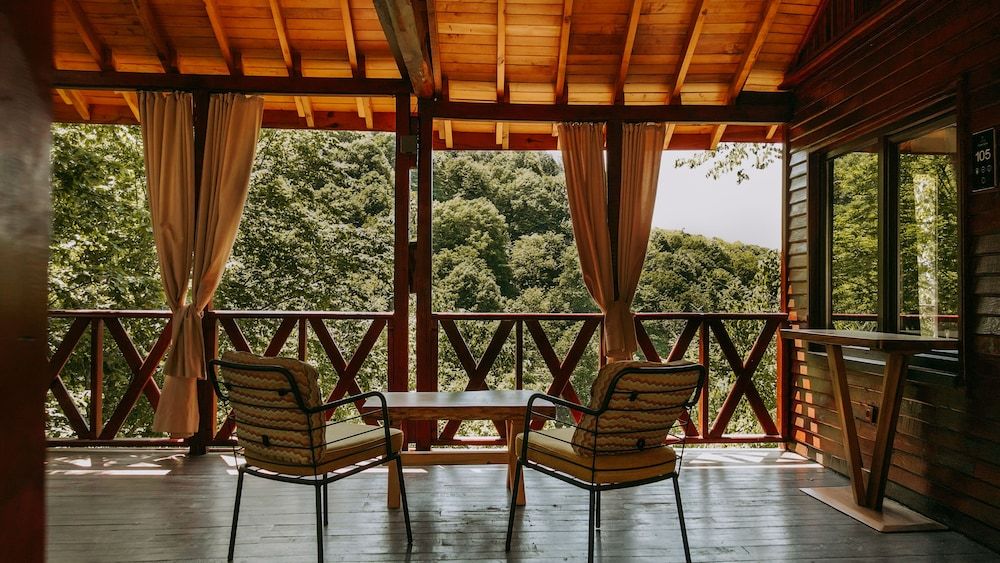 Luxury Tree House