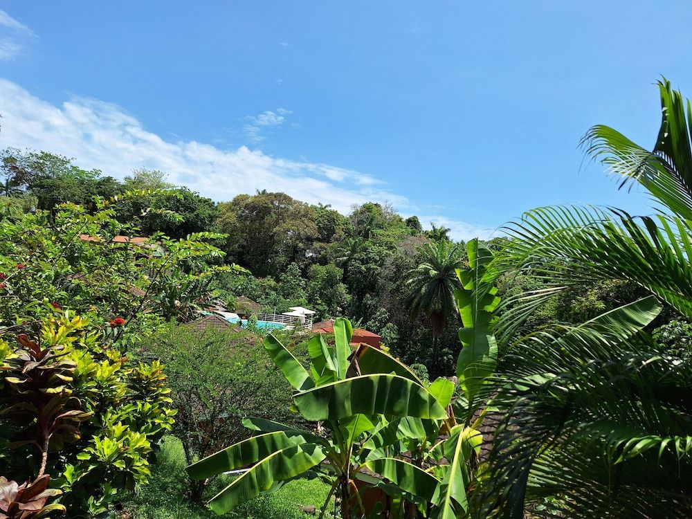 Bongo Deluxe Quadruple Room, 2 Queen Beds, Non Smoking 4