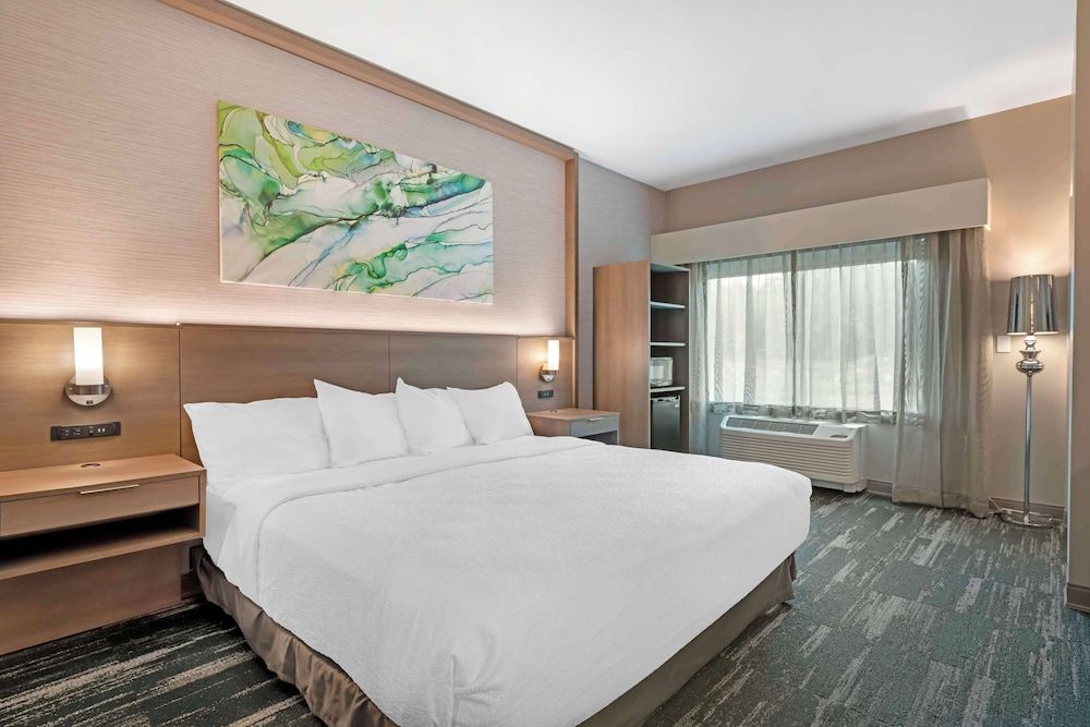 Standard Room, 1 King Bed, Accessible, Non Smoking