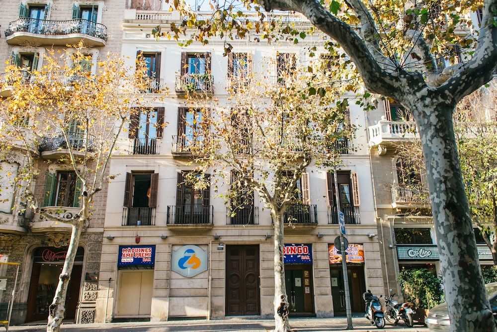 undefined ZOOROOMS Boutique GuestHouse 5