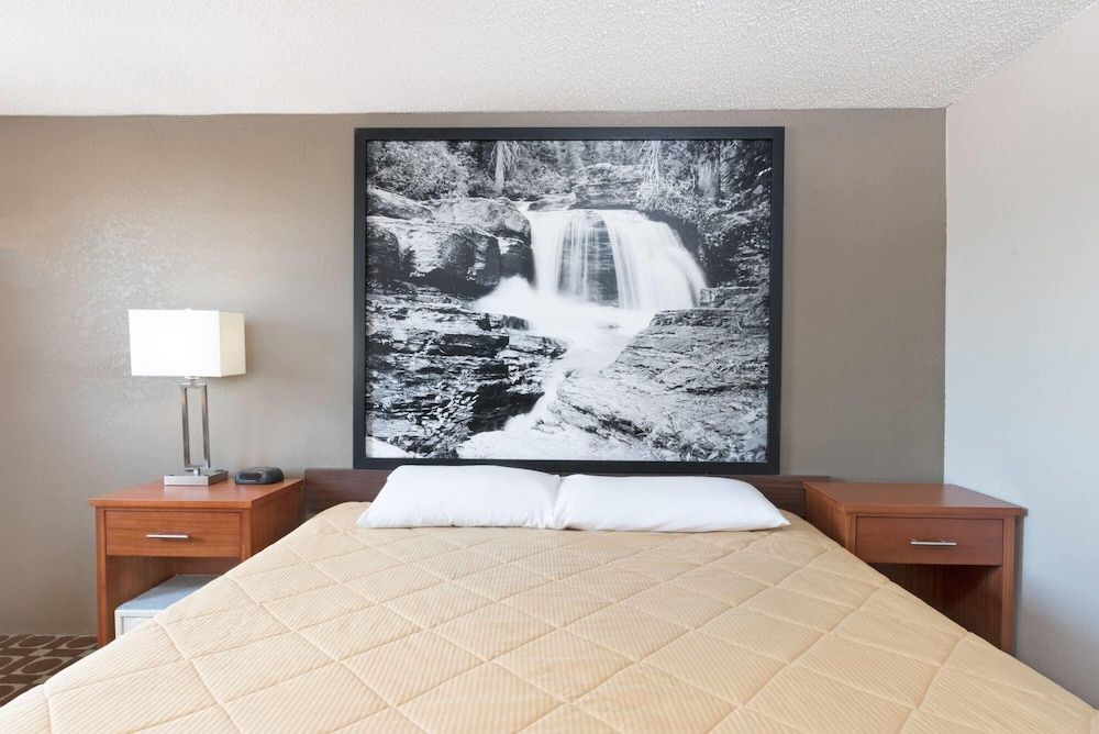 Room, 1 King Bed