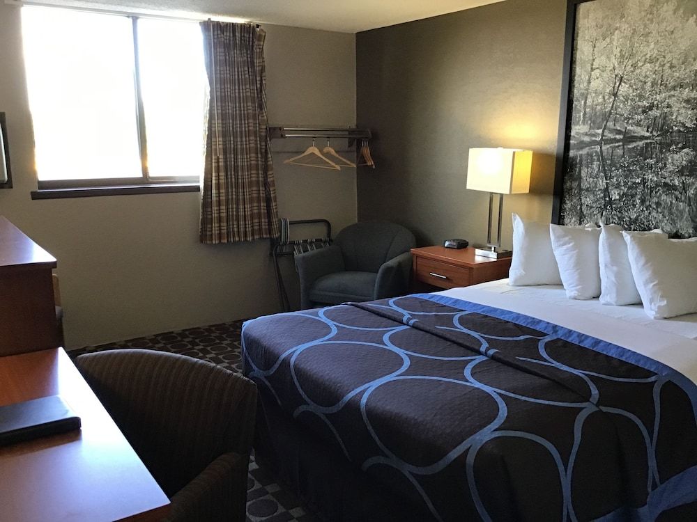 Room, 1 King Bed