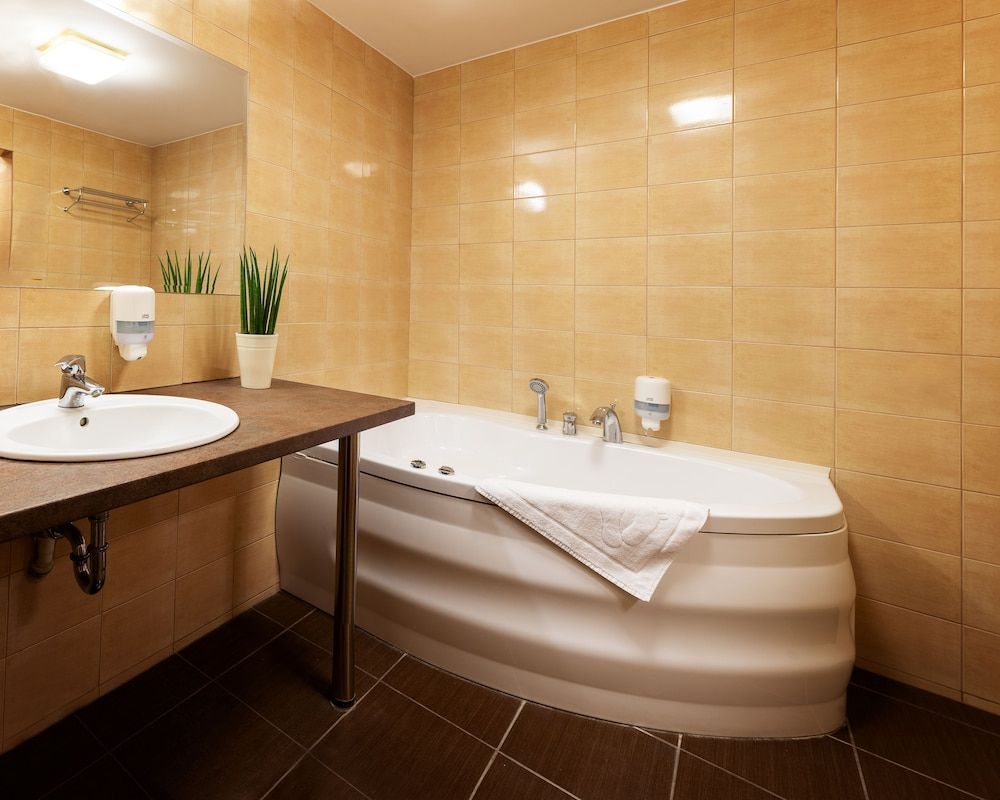 Hotel Zawisza Comfort Apartment, 1 Bedroom 4