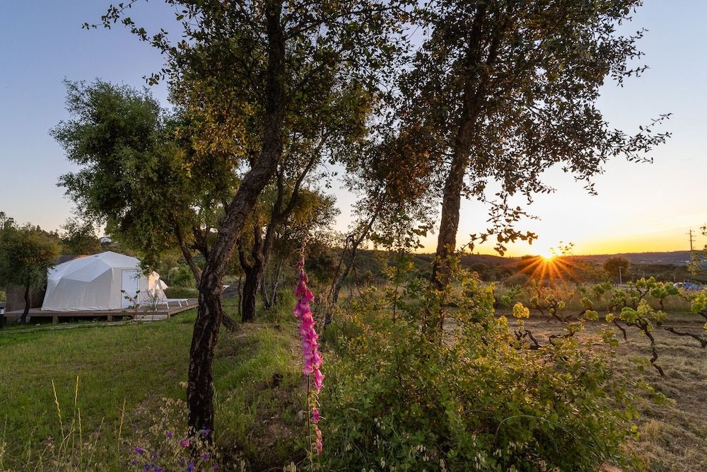 Gavião Nature Village Romantic Tent 3