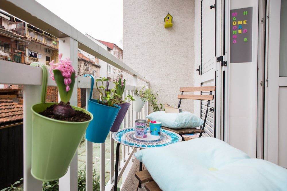 undefined Witty Please & Bardot 8