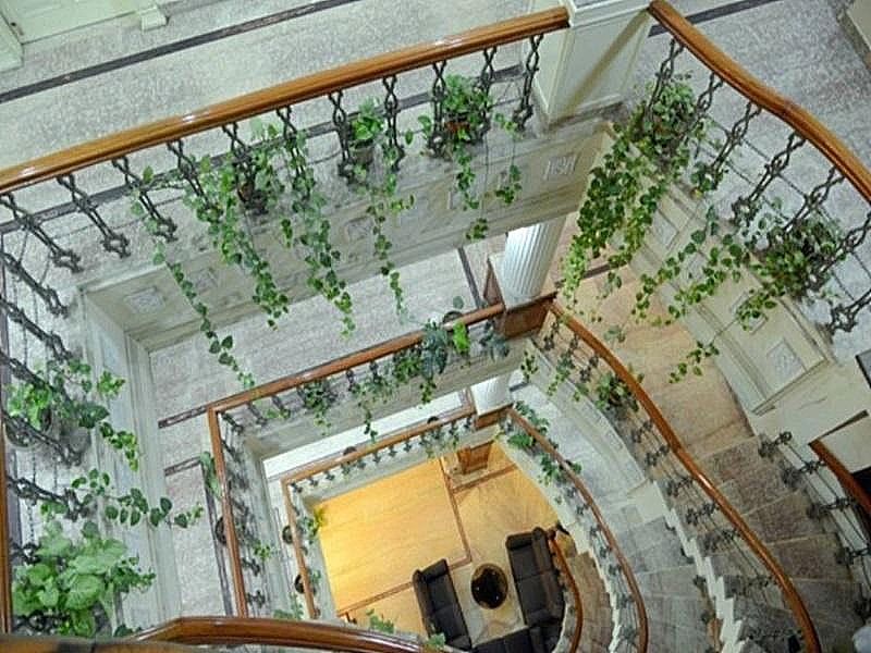 Suite - Regency - Executive