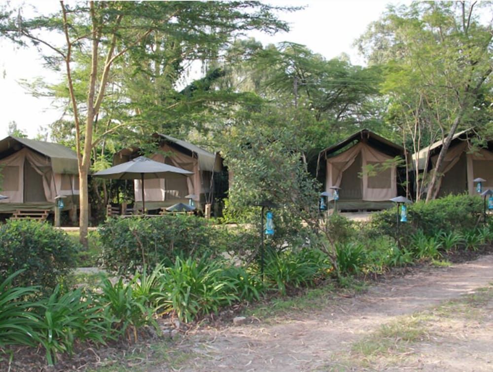 undefined Wildebeest Eco Camp 9