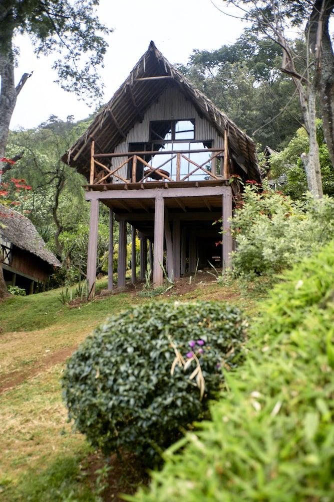 Karama Lodge & Spa Family Room, Balcony 5