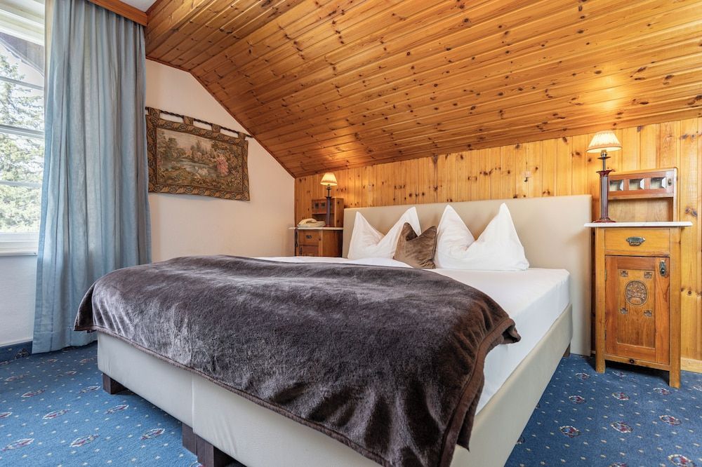 Hotel Restaurant Grünwalderhof Basic Double Room 7