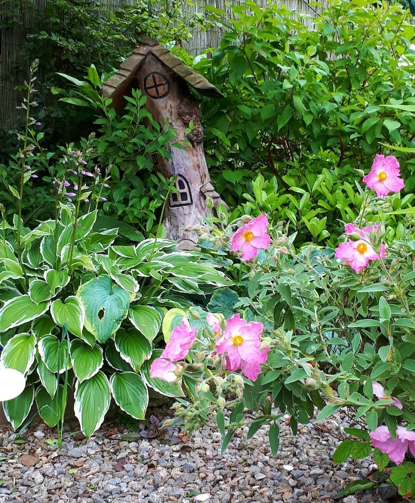 Lycia Rooms + Standard Suite (Lochaber) 14