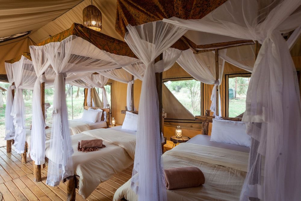 Baobab Tented Camp Standard Tent 7