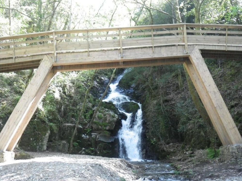 Ropes Course (Team Building)