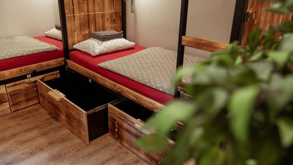 Turn Hostel Bunk Bed in 14-Bed Female Dormitory Room 2